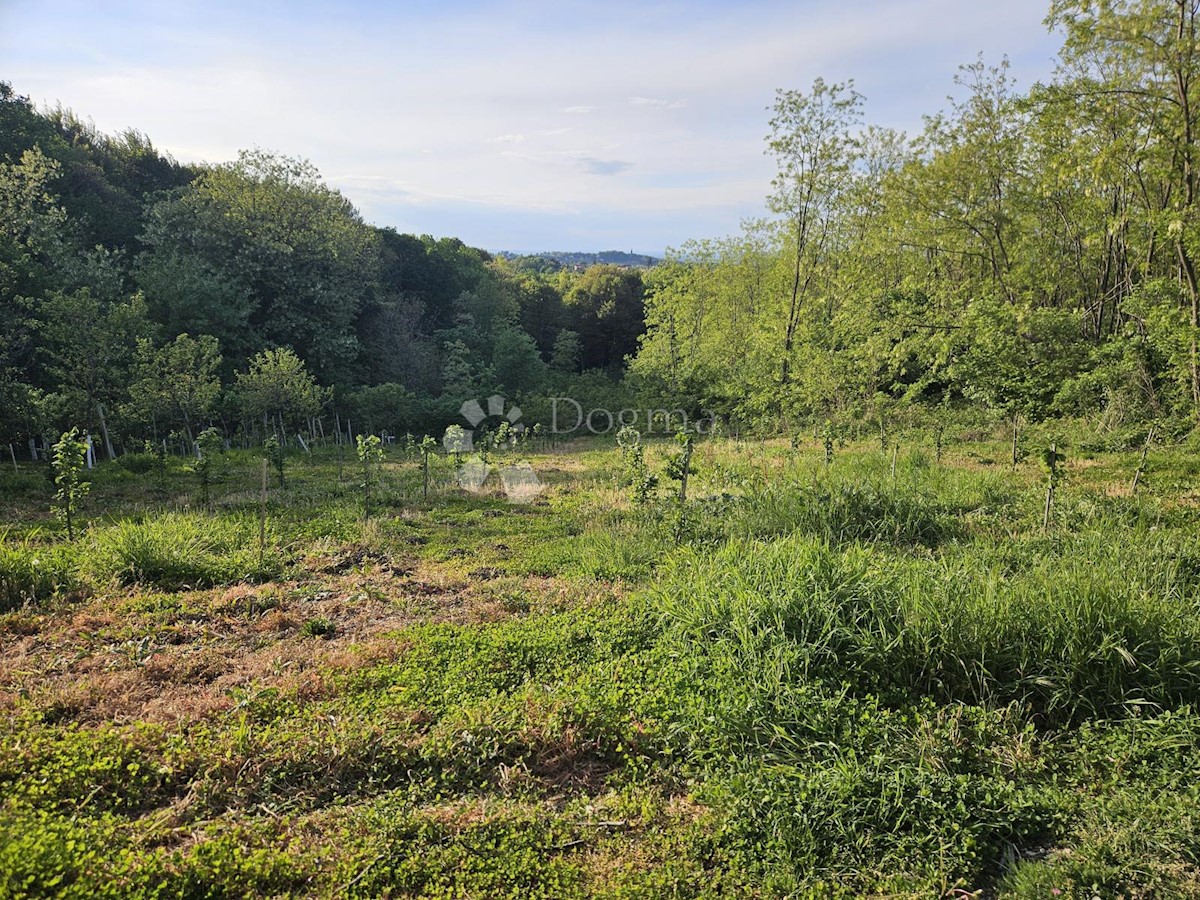 Terreno In vendita - VARAŽDINSKA VARAŽDINSKE TOPLICE