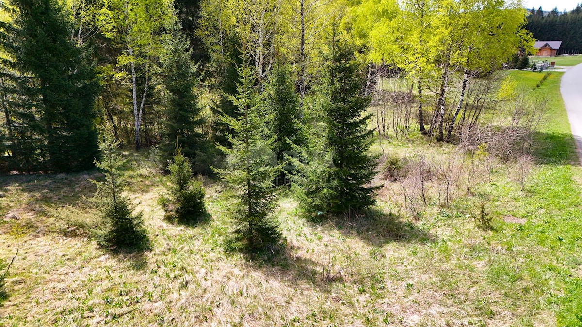 Grundstück Zu verkaufen - Primorsko-goranska Ravna Gora - foto 2/5
