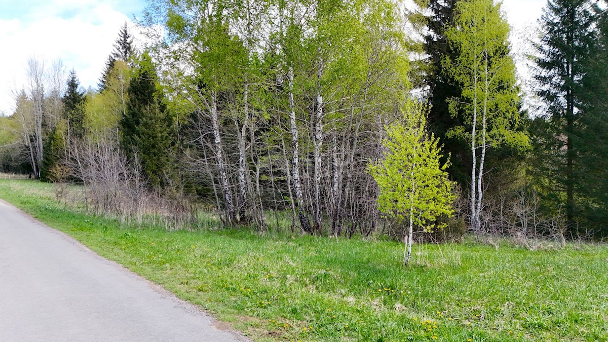 Grundstück Zu verkaufen - Primorsko-goranska Ravna Gora - foto 4/5