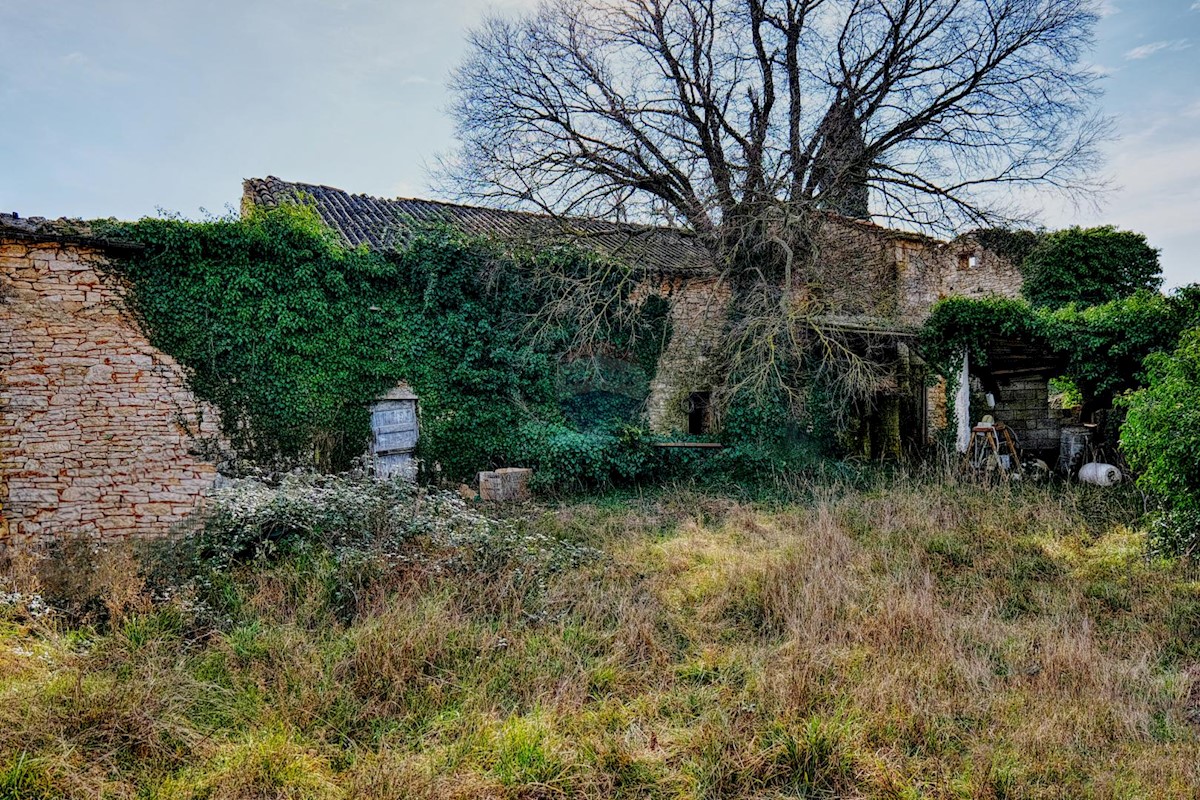 Dom Na predaj - ISTARSKA BARBAN