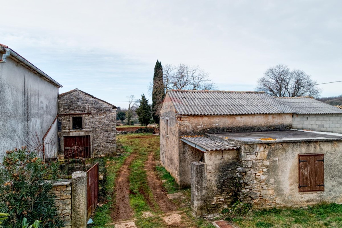 Dom Na predaj - ISTARSKA BARBAN