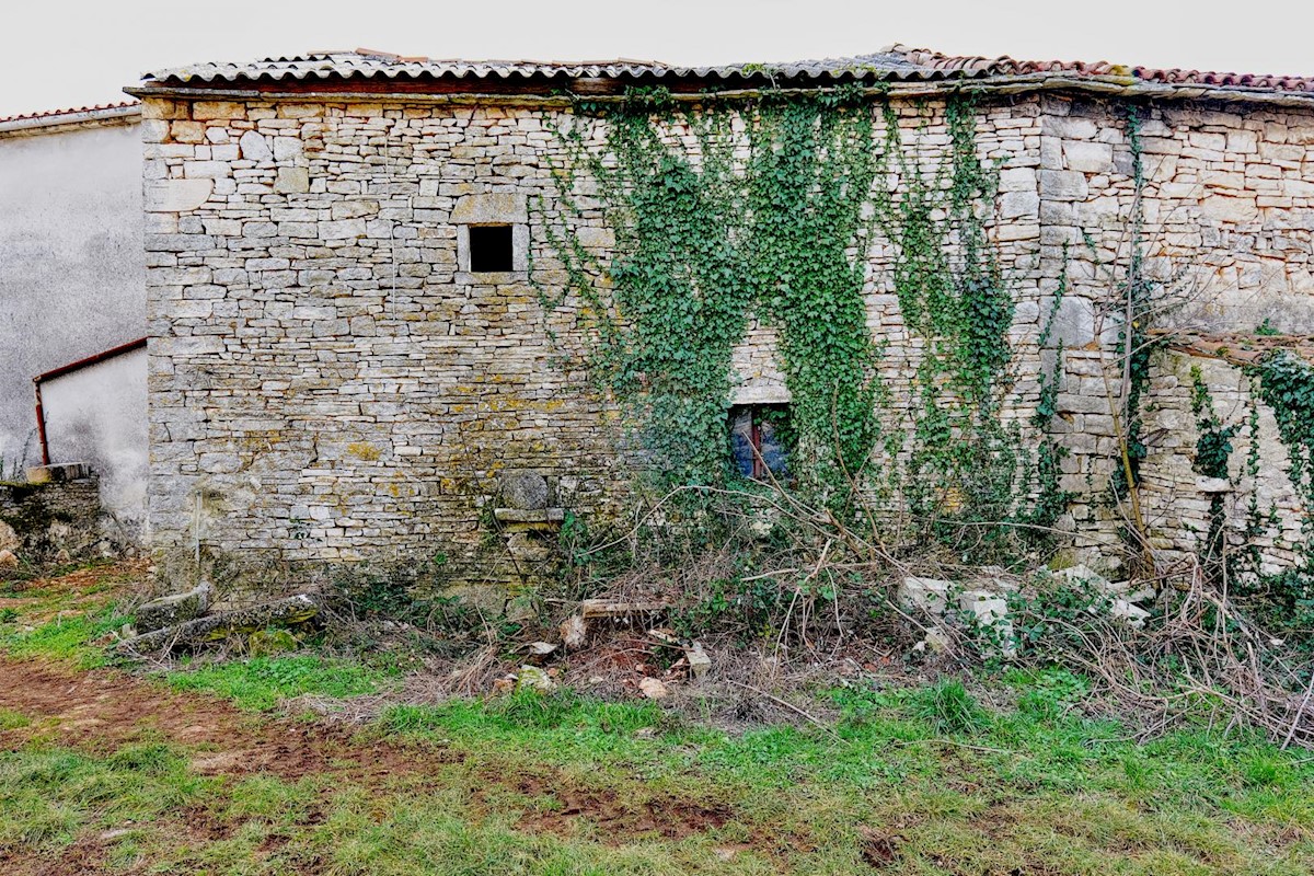 Dom Na predaj - ISTARSKA BARBAN