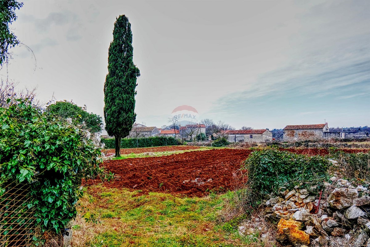 Dom Na predaj - ISTARSKA BARBAN