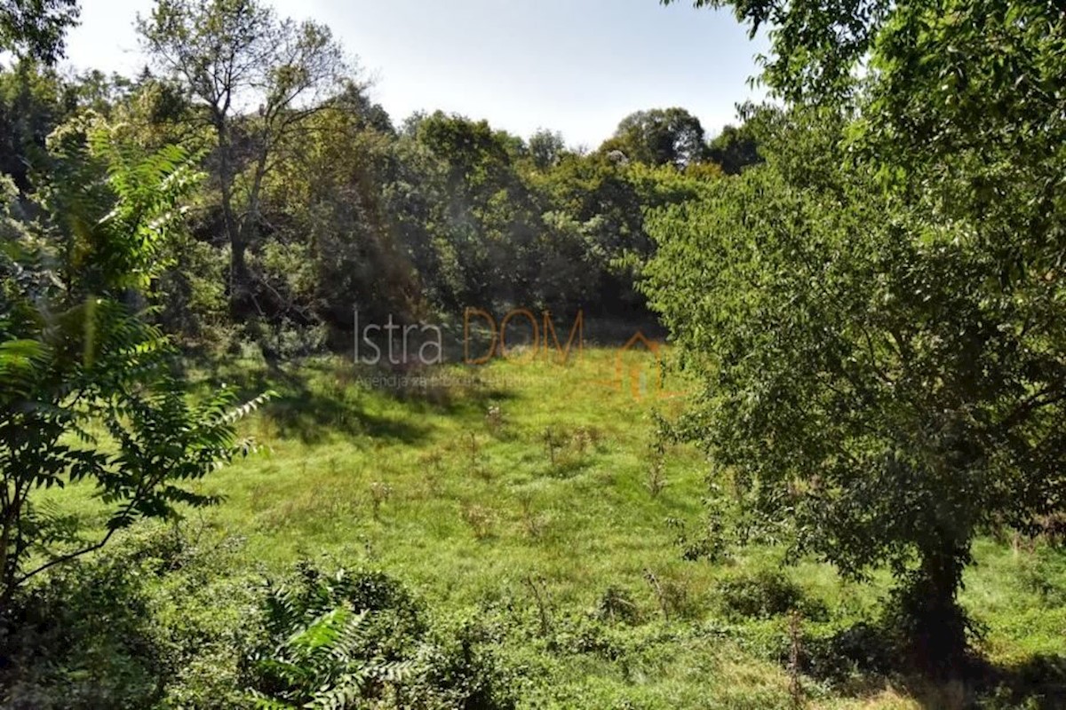 Land For sale - ISTARSKA SVETVINČENAT