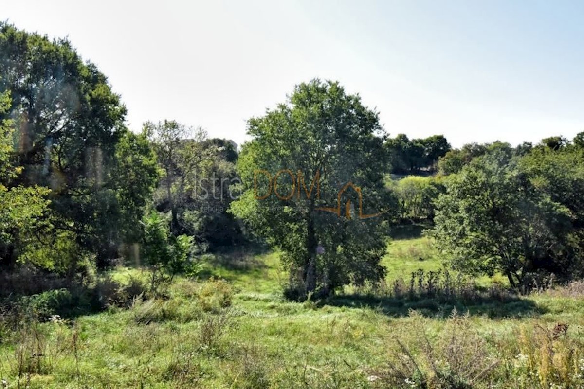 Land For sale - ISTARSKA SVETVINČENAT