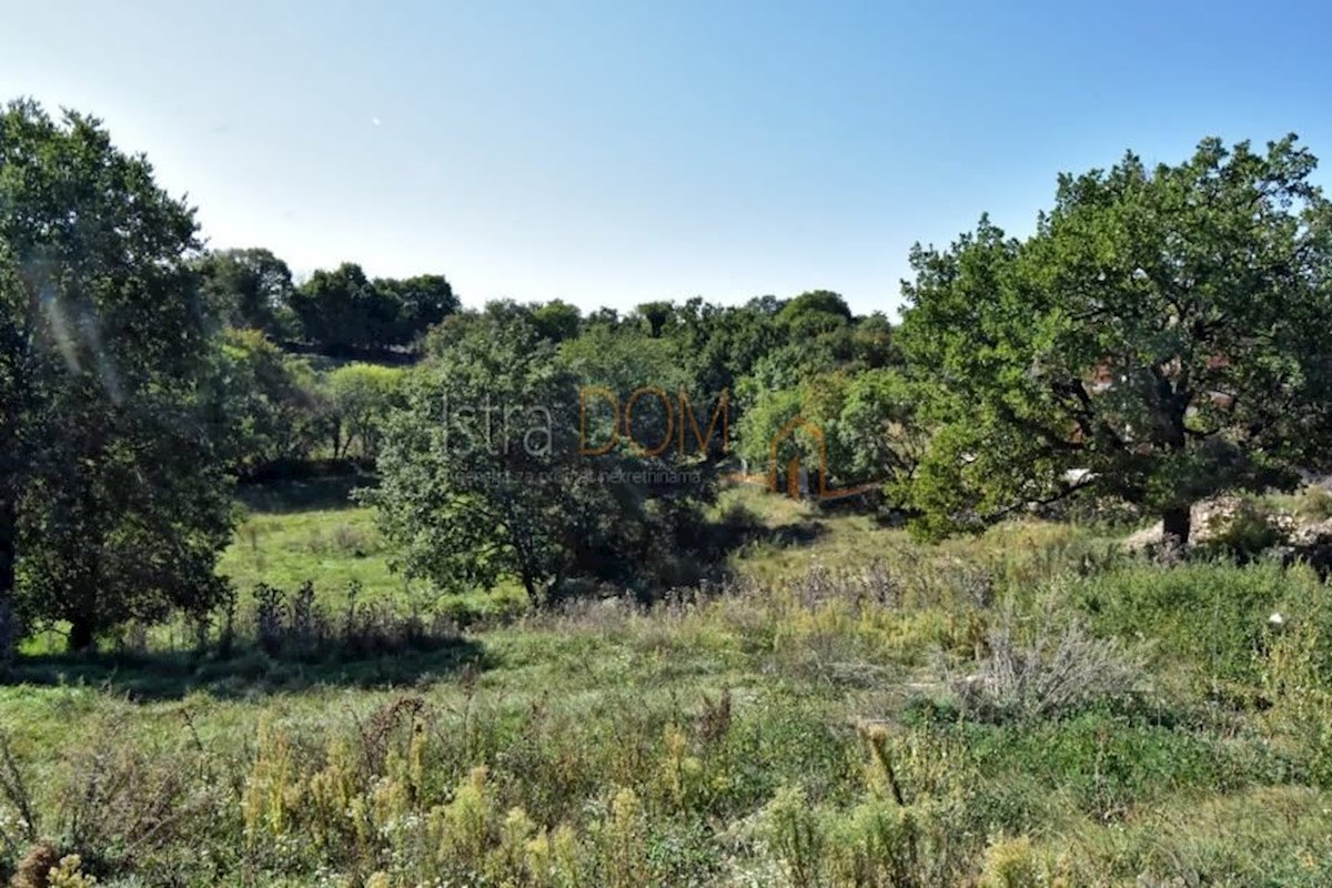 Land For sale - ISTARSKA SVETVINČENAT