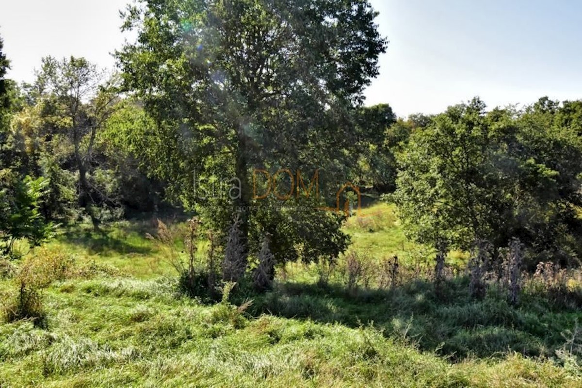 Land For sale - ISTARSKA SVETVINČENAT