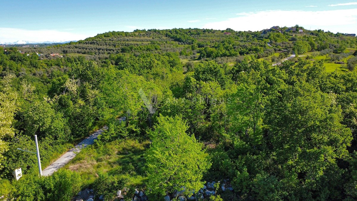 Terreno In vendita - ISTARSKA BUJE