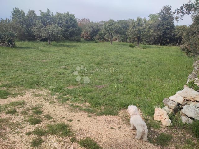Land For sale - Istarska Vodnjan - foto 4/6