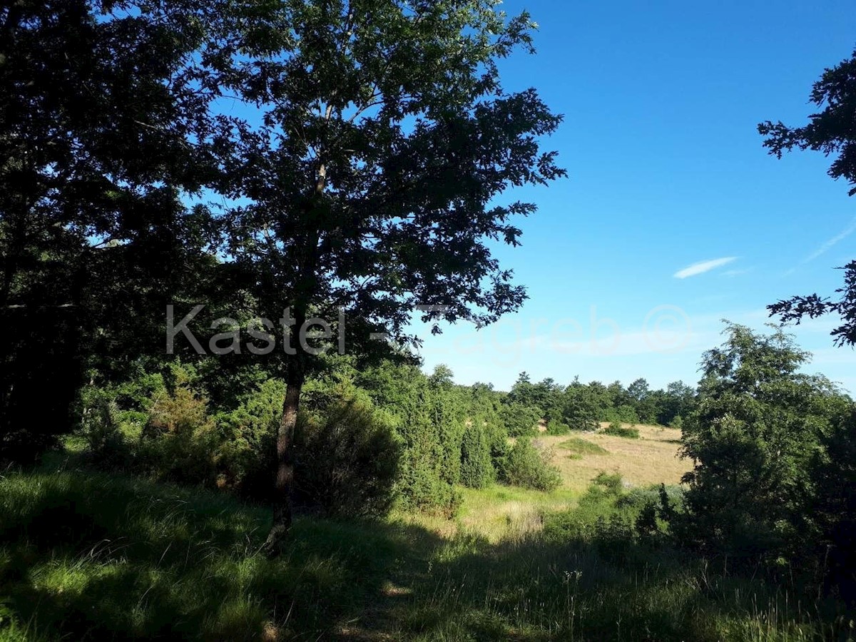 Zemljište Na prodaju - ISTARSKA PAZIN