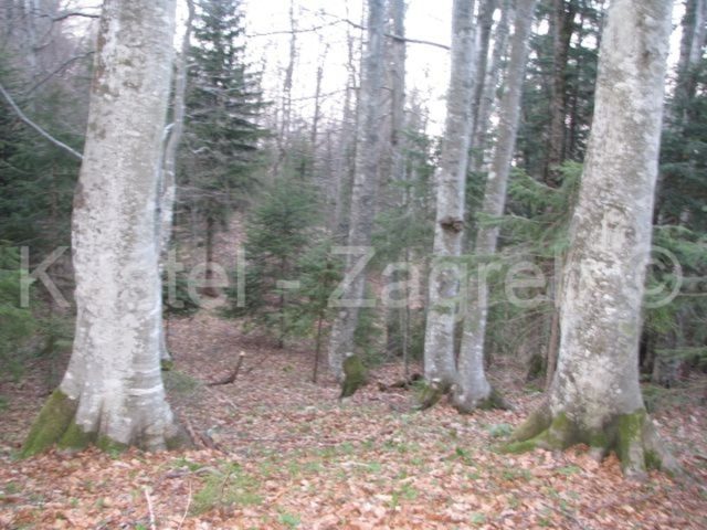 Zemljište na prodaju 11000 m² – Delnice