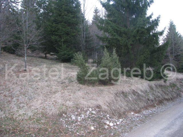 Land For sale - Primorsko-goranska Delnice - foto 3/4