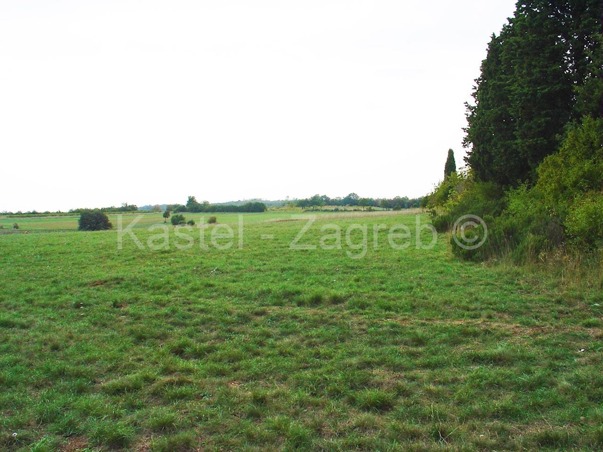 Haus Zu verkaufen - ISTARSKA BARBAN