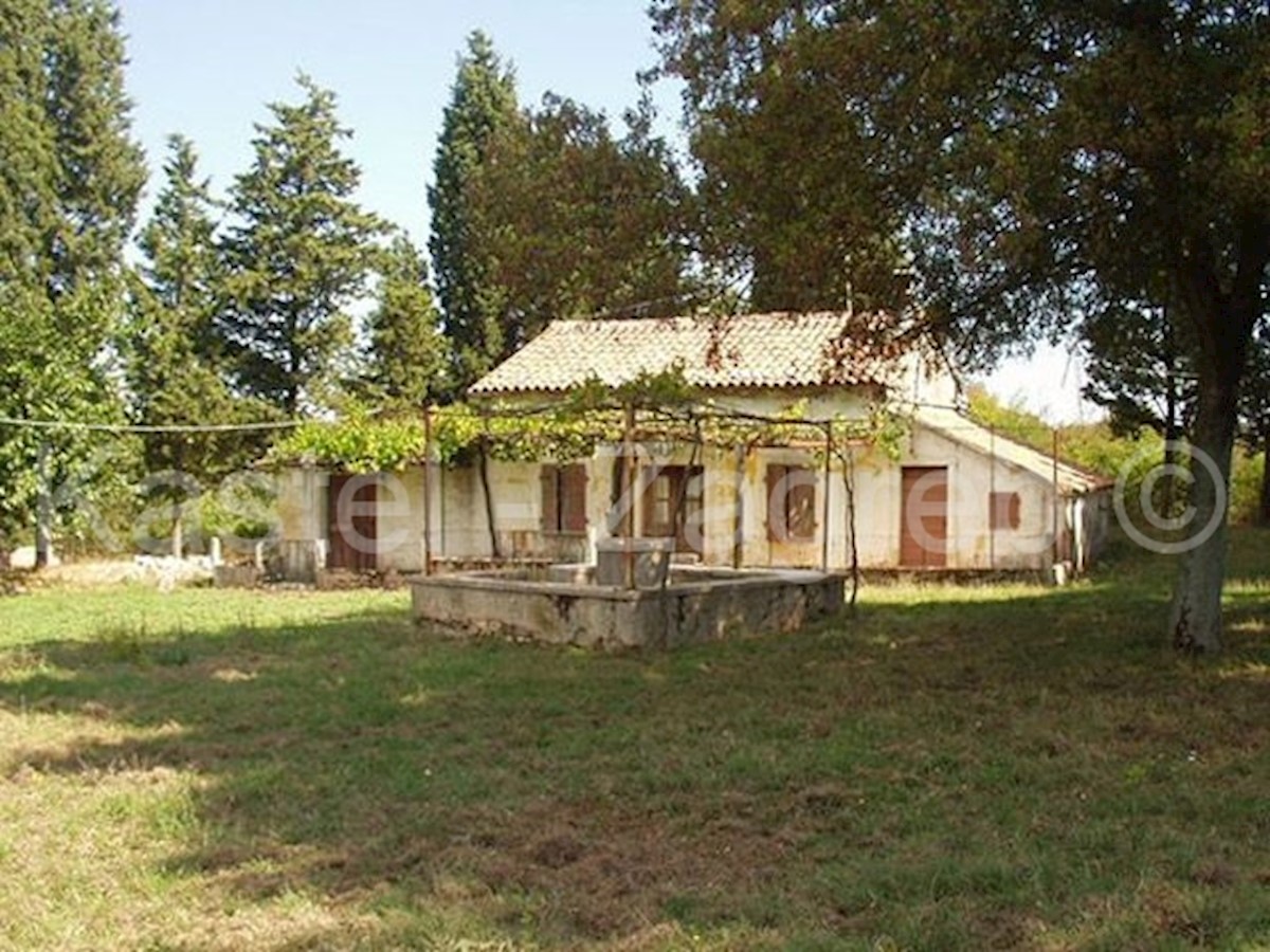 Haus Zu verkaufen - ISTARSKA BARBAN