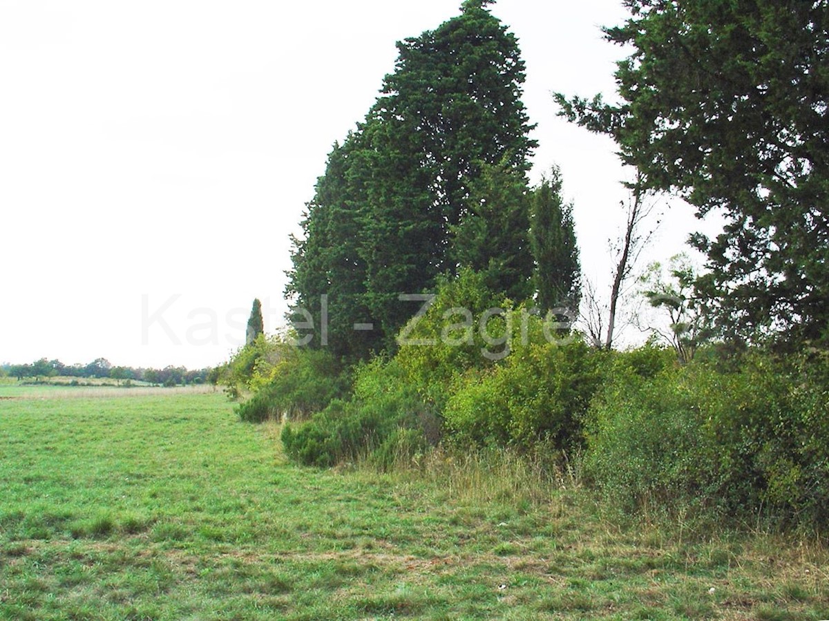 Terreno In vendita - ISTARSKA BARBAN