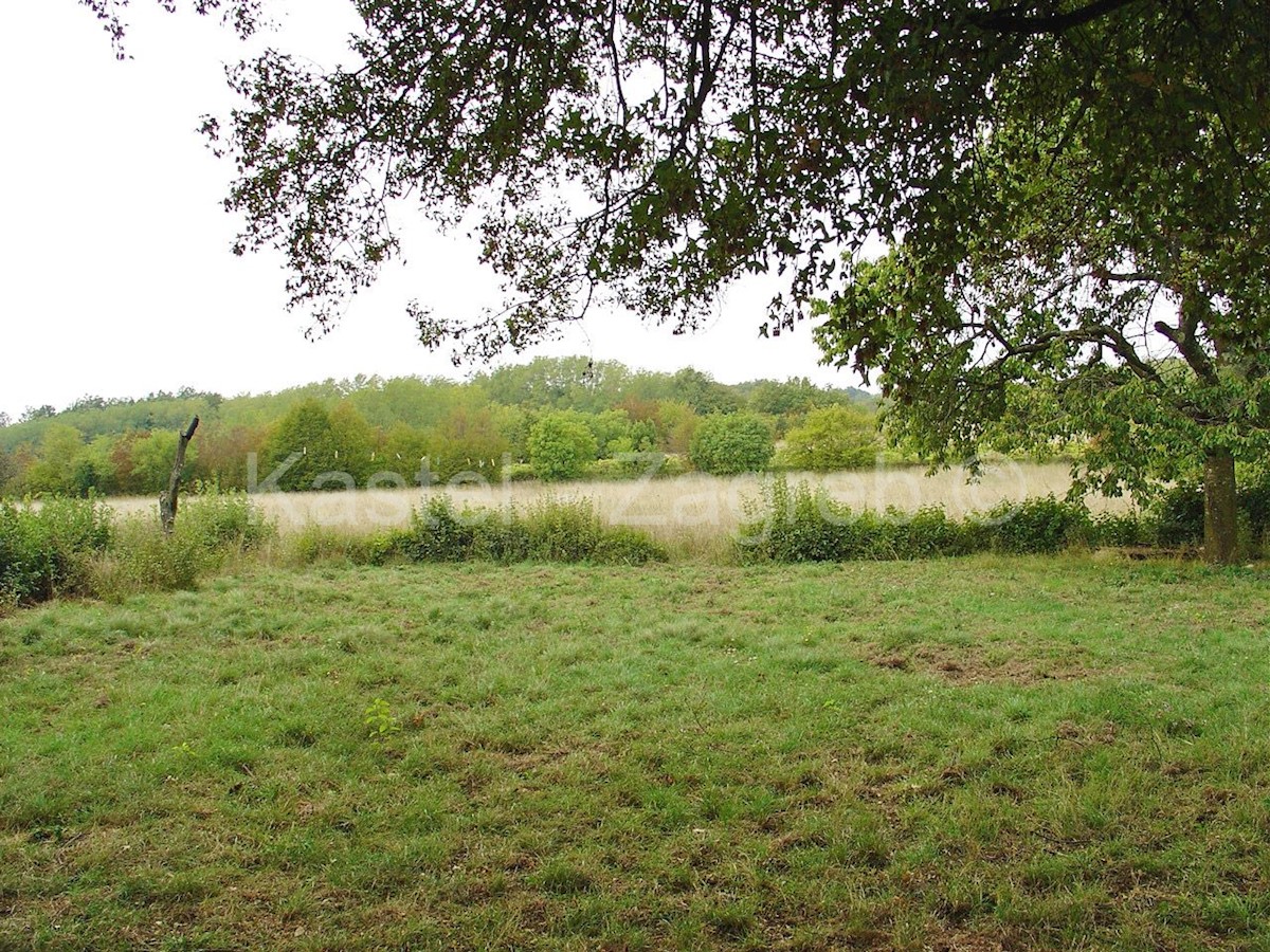 Terreno In vendita - ISTARSKA BARBAN