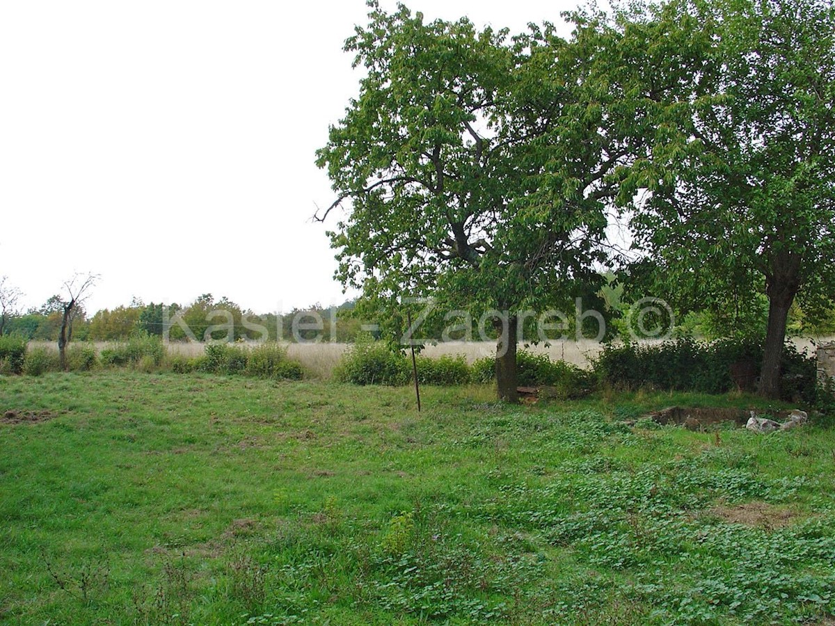 Terreno In vendita - ISTARSKA BARBAN