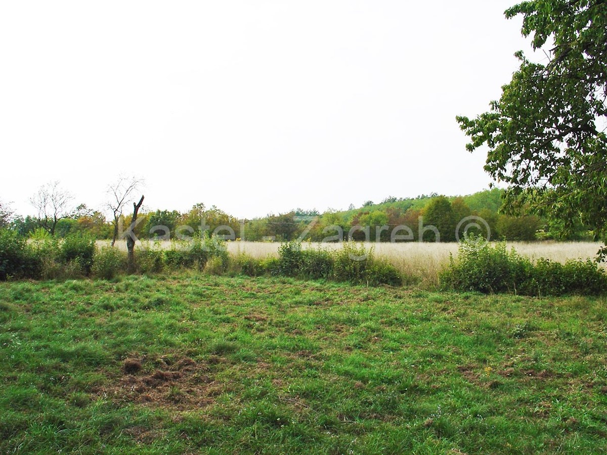 Terreno In vendita - ISTARSKA BARBAN