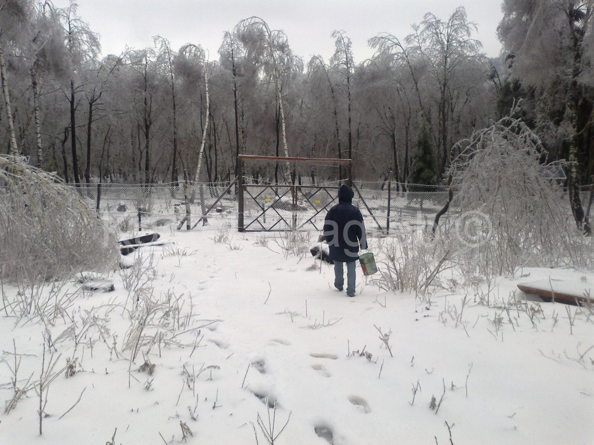 Terreno In vendita - PRIMORSKO-GORANSKA FUŽINE