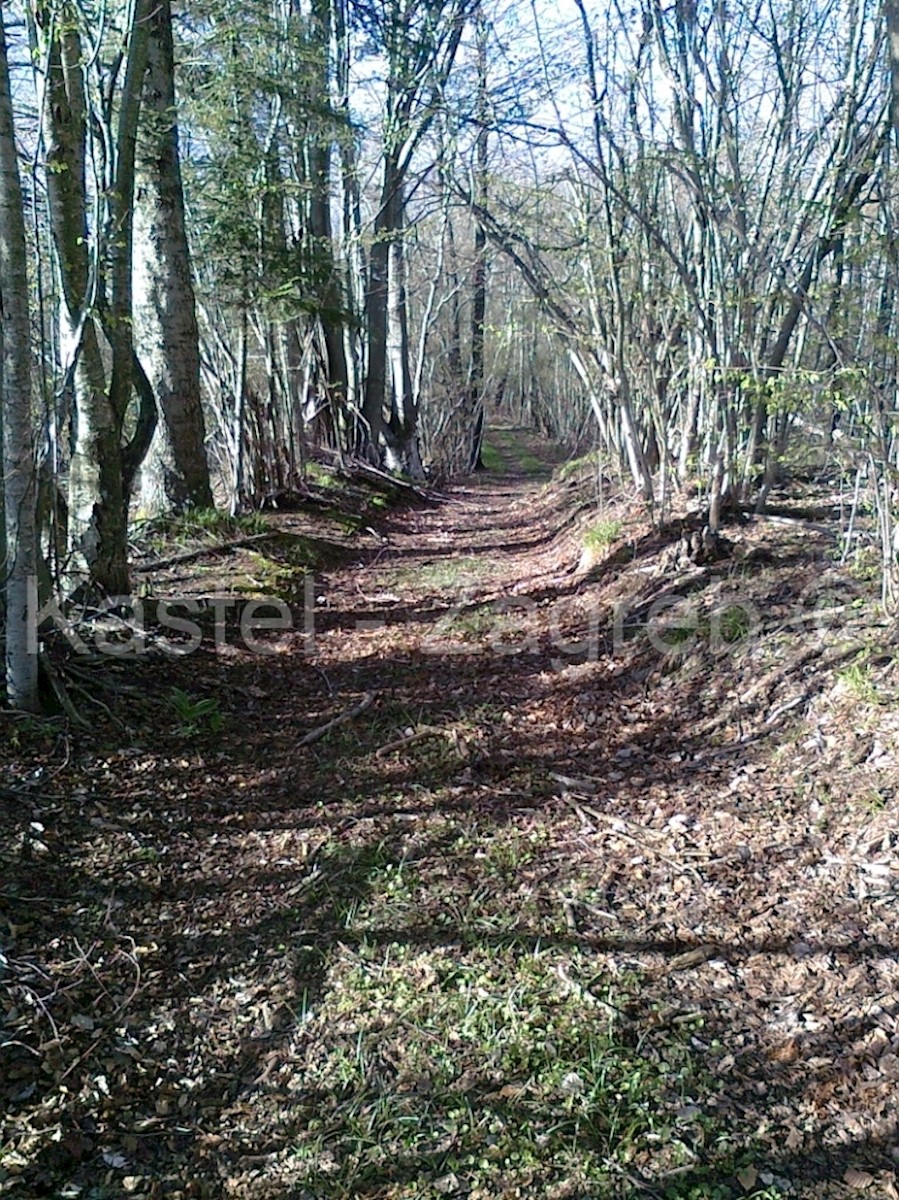 Terreno In vendita - PRIMORSKO-GORANSKA FUŽINE