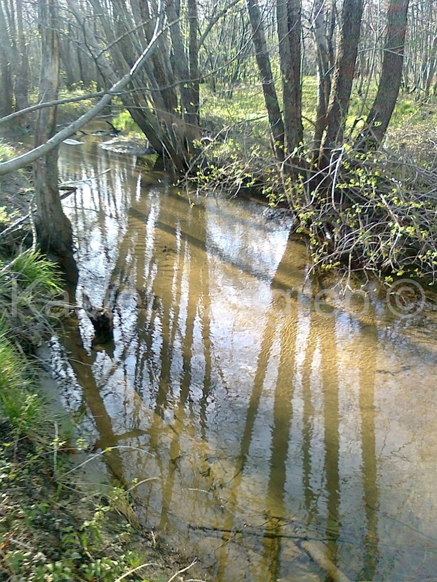 Terreno In vendita - PRIMORSKO-GORANSKA FUŽINE