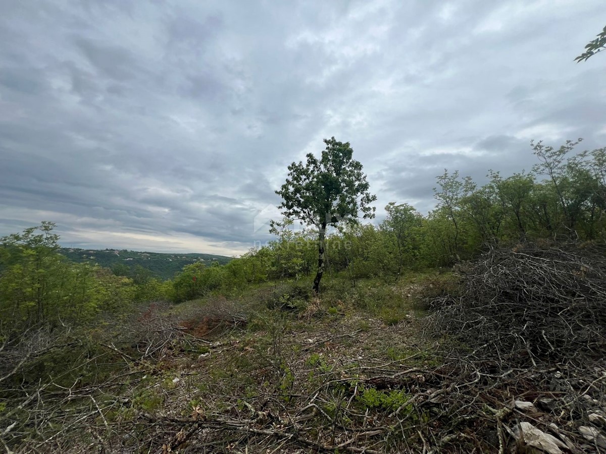 Land For sale - ISTARSKA LABIN