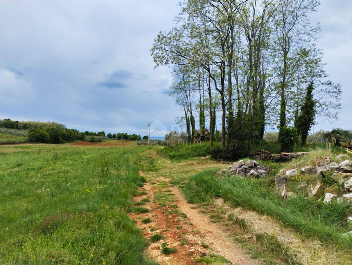 Terrain À vendre - Istarska Poreč - foto 3/5