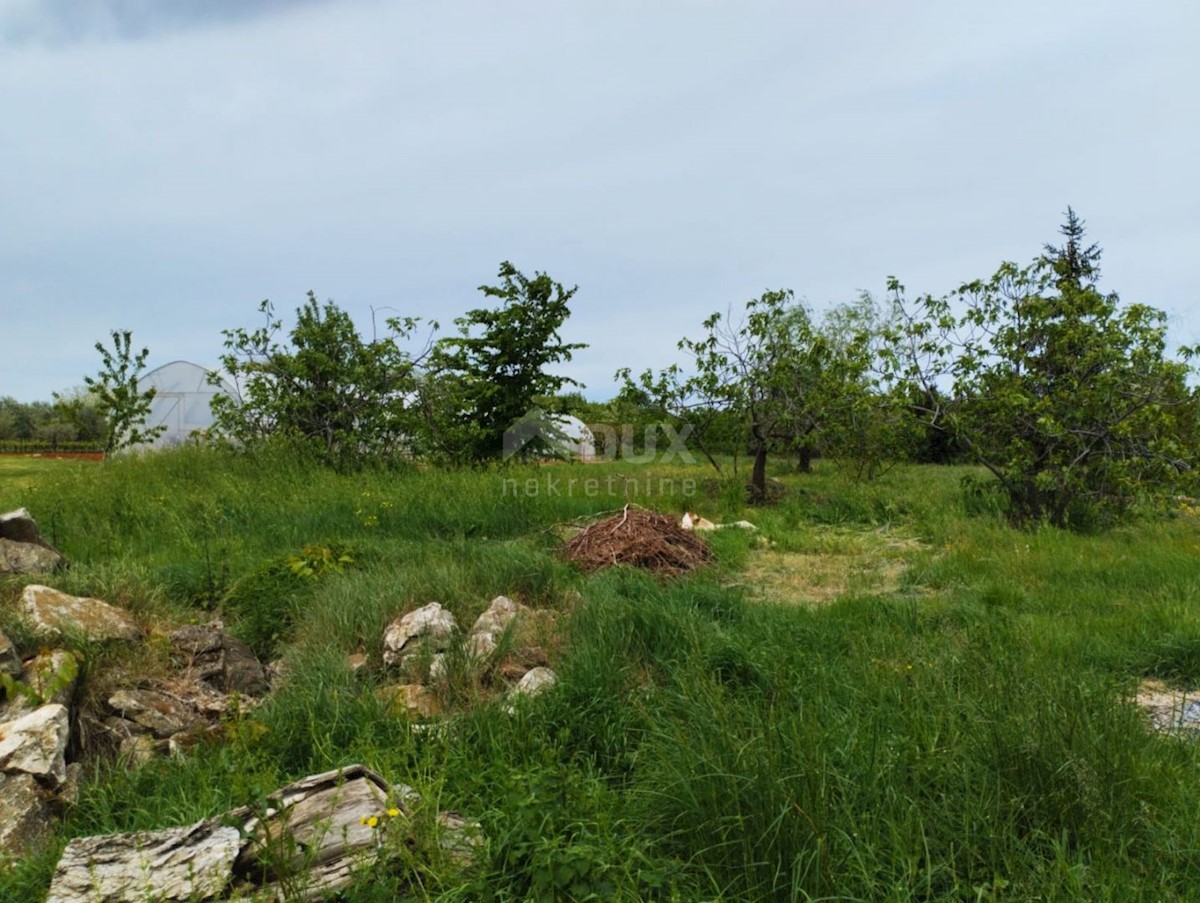 Terrain À vendre - Istarska Poreč - foto 5/5