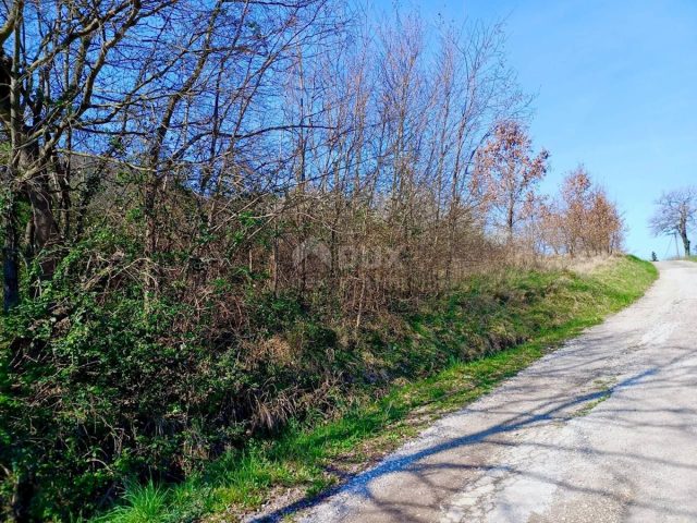 Terrain à vendre 10498 m² – Buzet