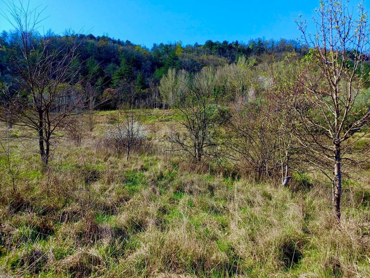 Terreno In vendita - ISTARSKA BUZET