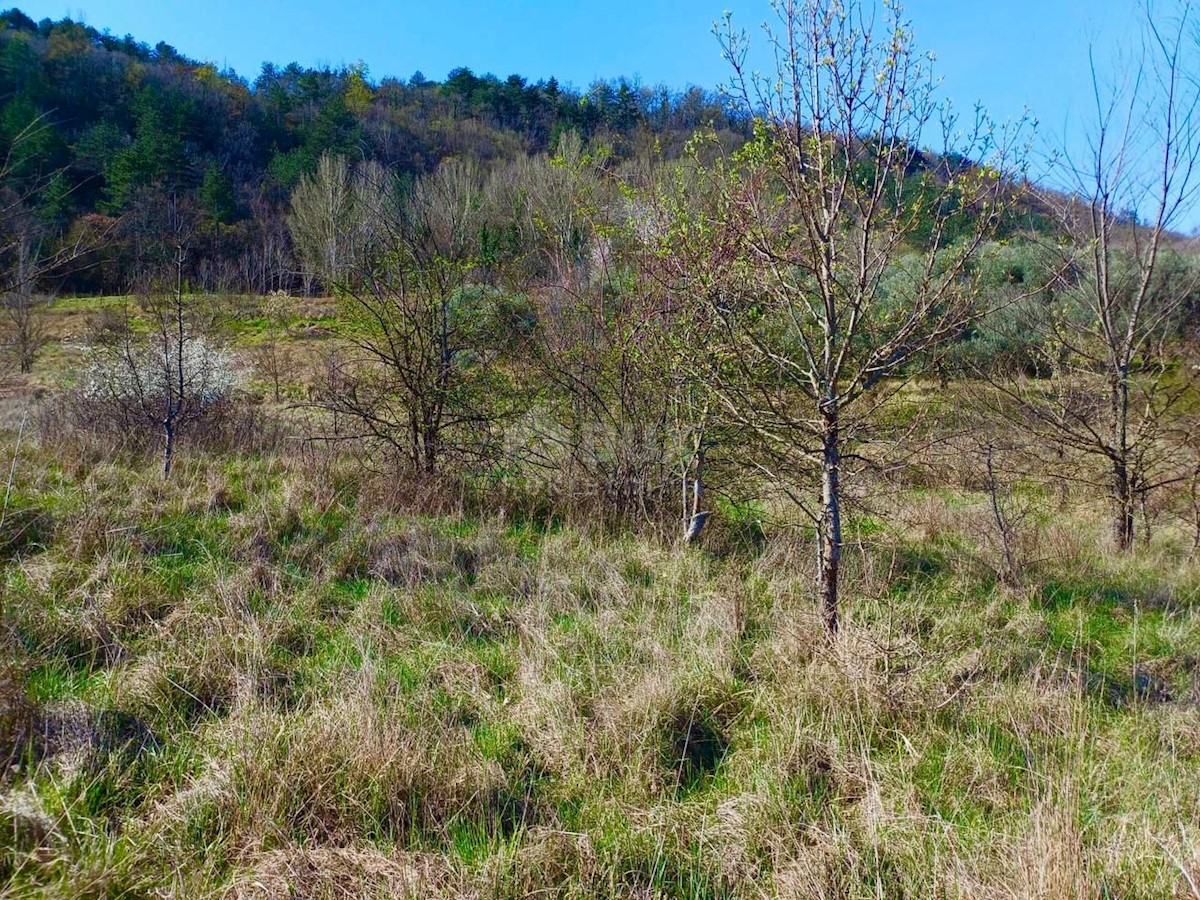 Terreno In vendita - ISTARSKA BUZET