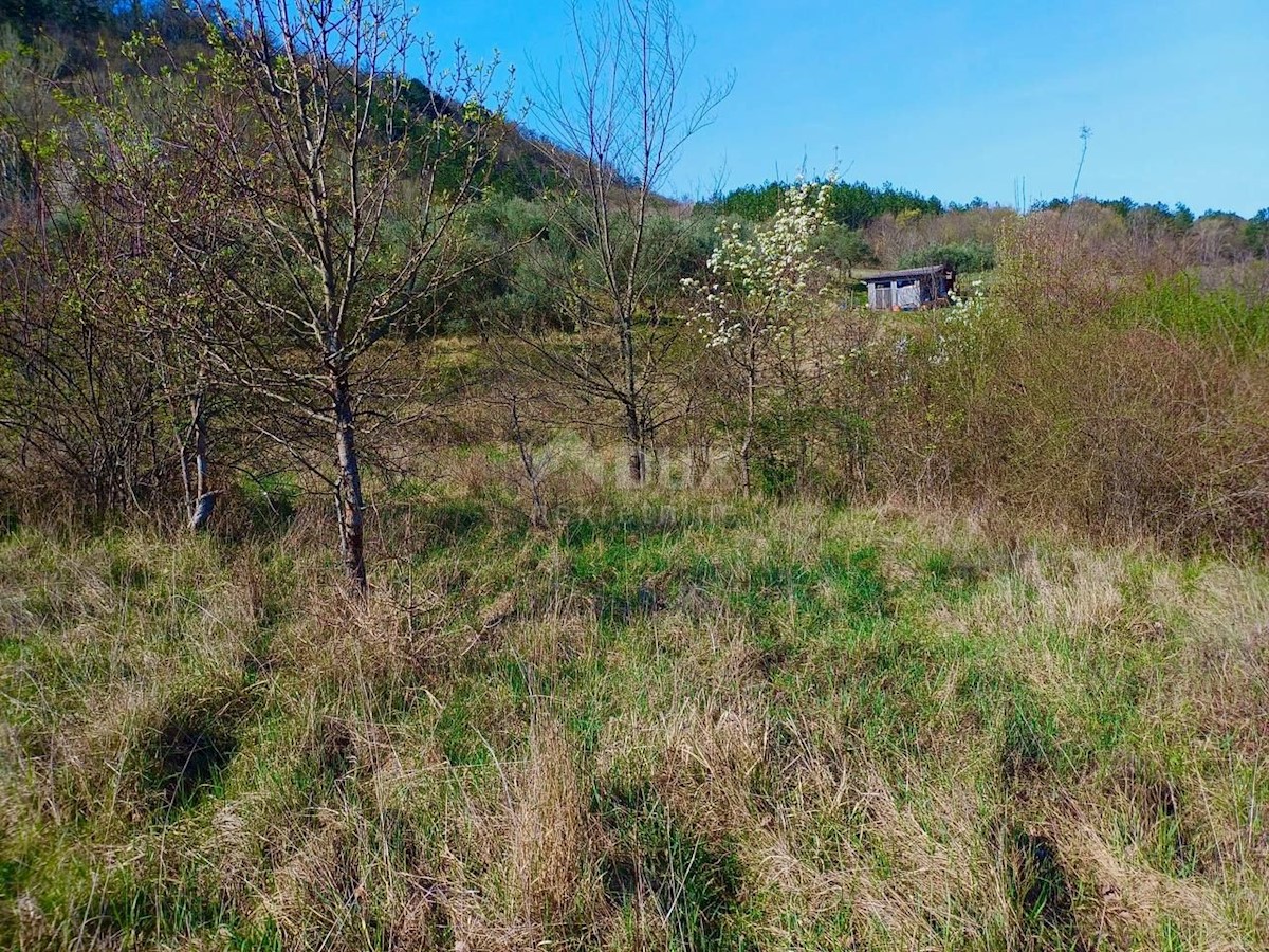 Terreno In vendita - ISTARSKA BUZET