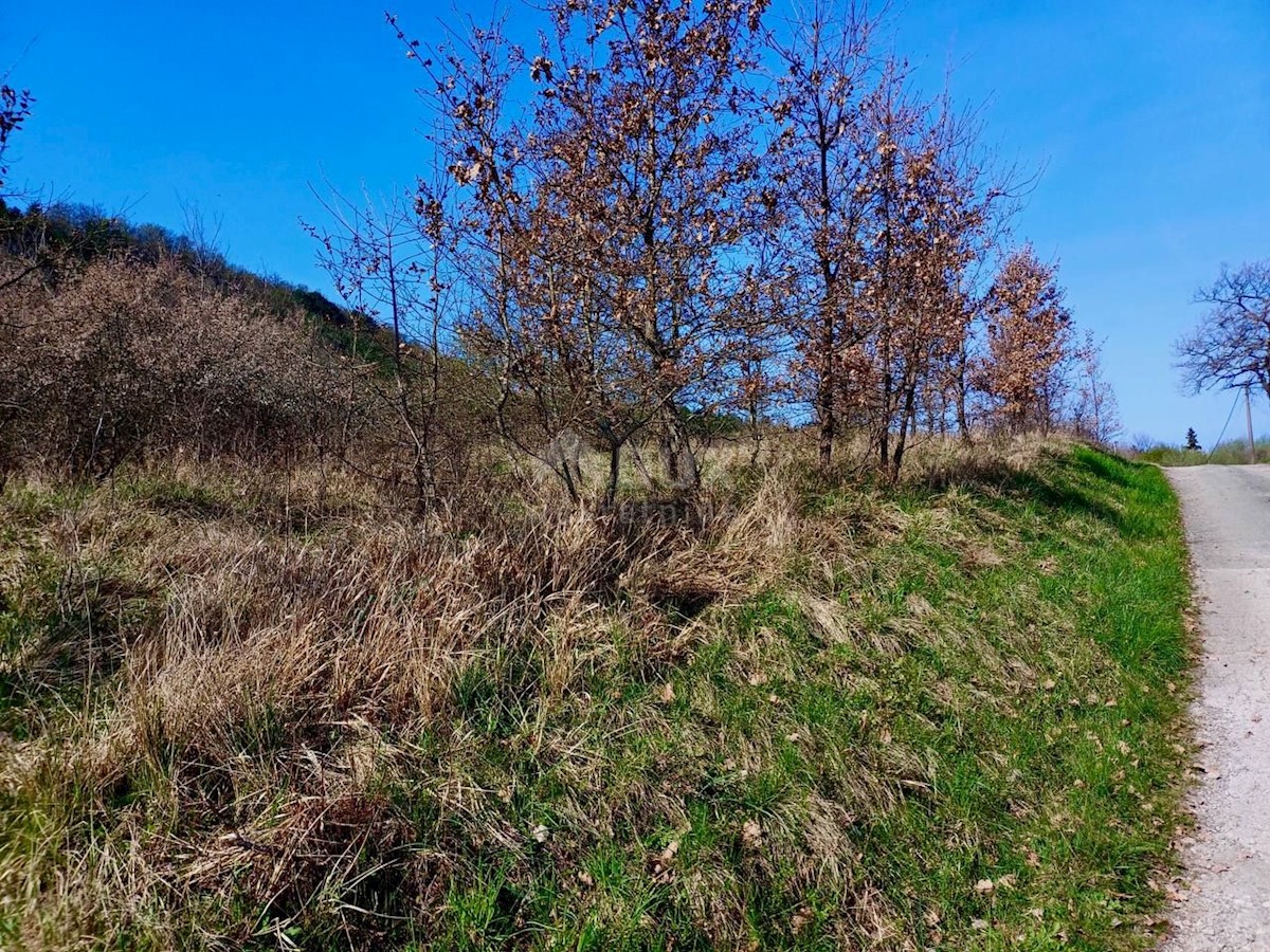 Terreno In vendita - ISTARSKA BUZET