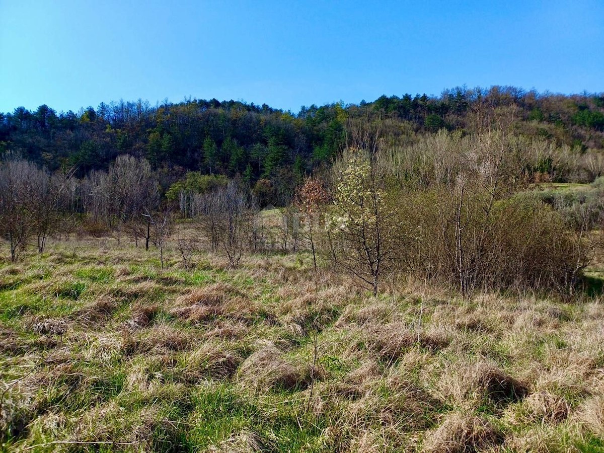 Terreno In vendita - ISTARSKA BUZET