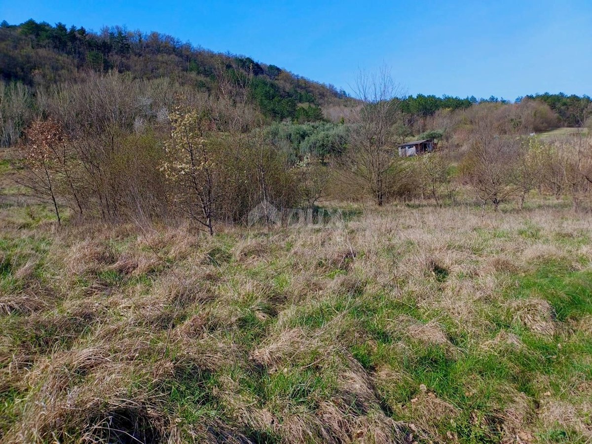 Terreno In vendita - ISTARSKA BUZET