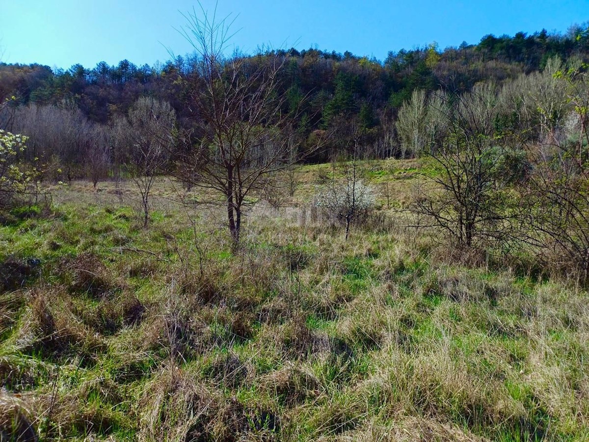 Terreno In vendita - ISTARSKA BUZET