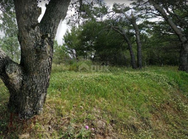 Land For sale - Zadarska Nin - foto 4/4