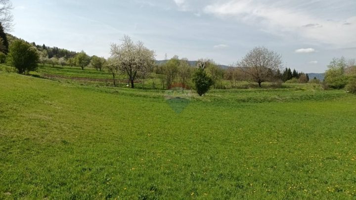 Terrain À vendre - Primorsko-goranska Vrbovsko - foto 4/4
