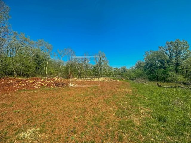 Parcela na predaj 1186 m² – Grožnjan