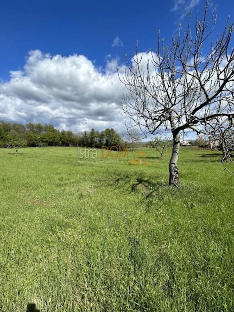 Pozemek Na prodej - Istarska Barban