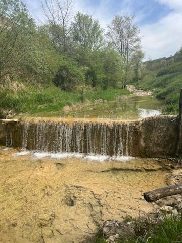 Terreno in vendita 31000 m² – Motovun
