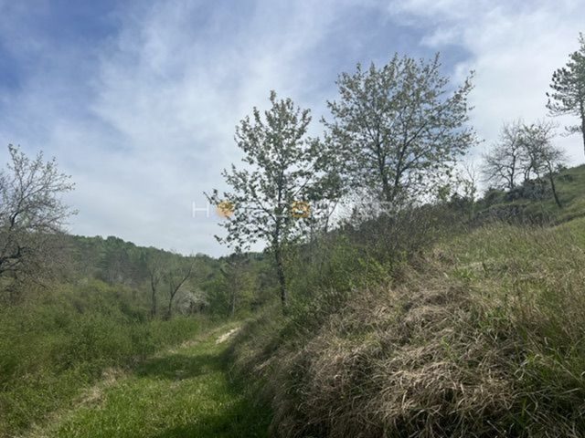 Terrain À vendre - Istarska Motovun - foto 3/67