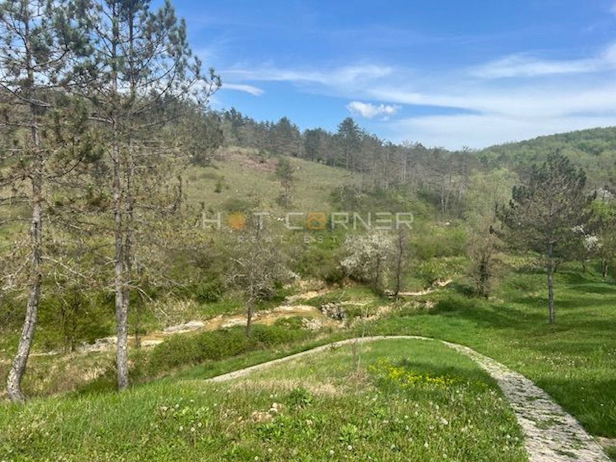 Land For sale - ISTARSKA MOTOVUN