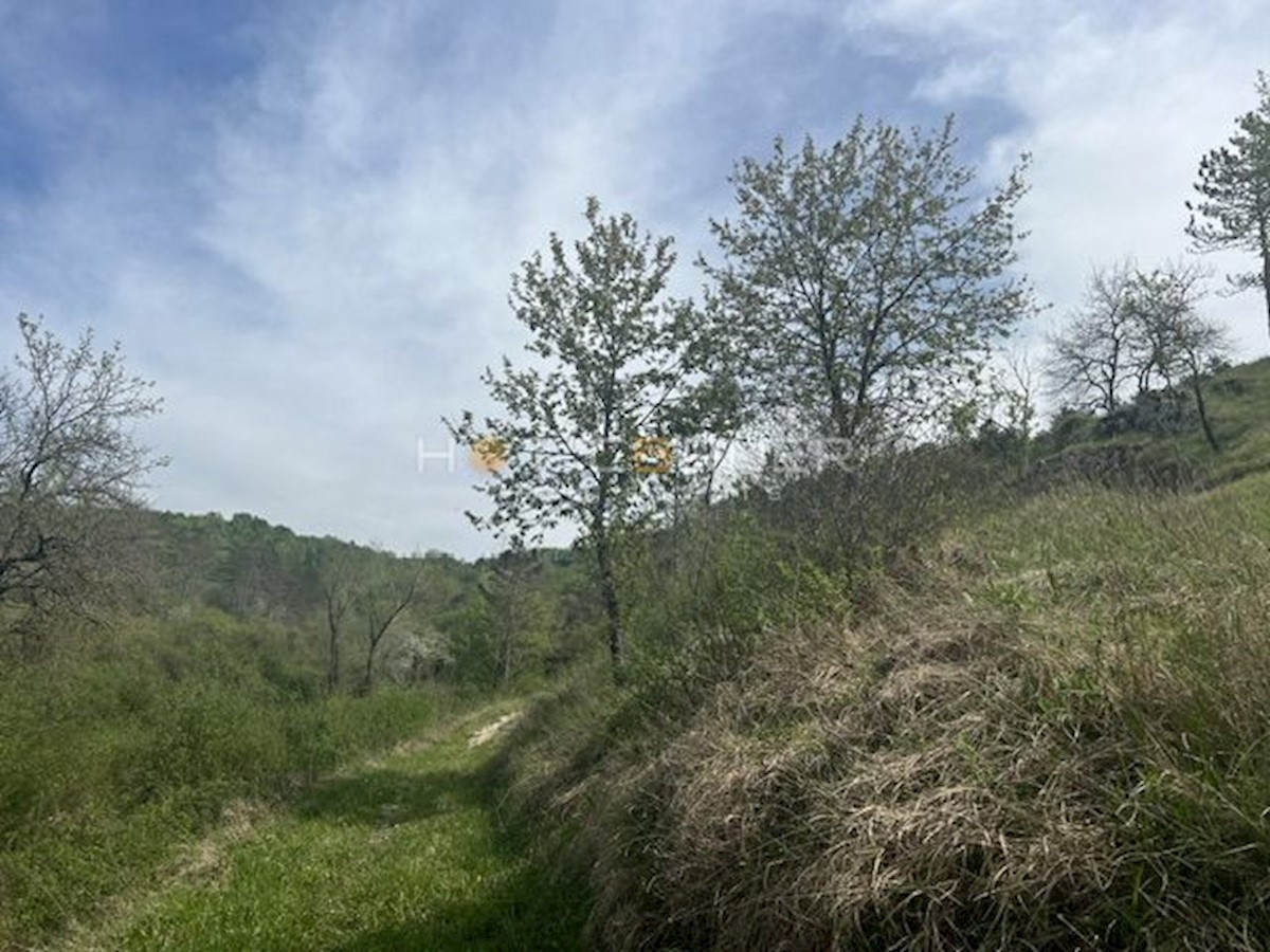 Land For sale - ISTARSKA MOTOVUN