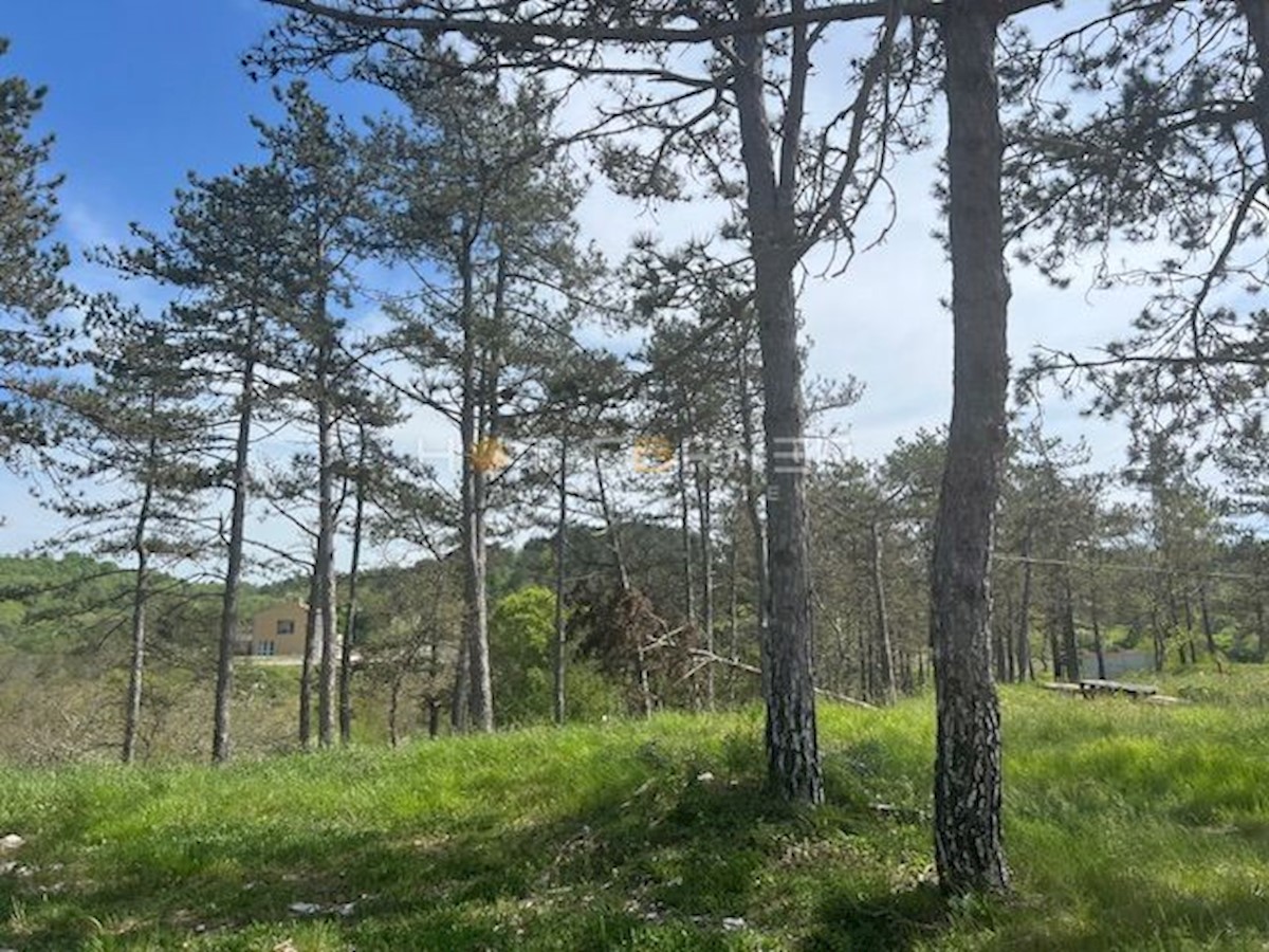 Land For sale - ISTARSKA MOTOVUN