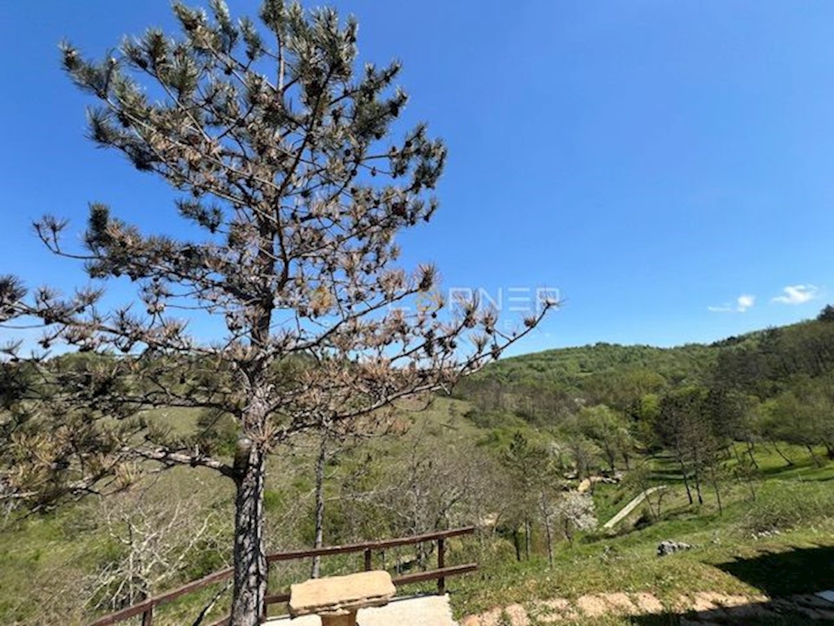 Land For sale - ISTARSKA MOTOVUN