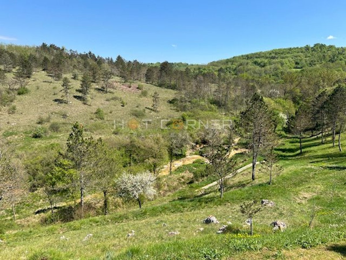 Land For sale - ISTARSKA MOTOVUN