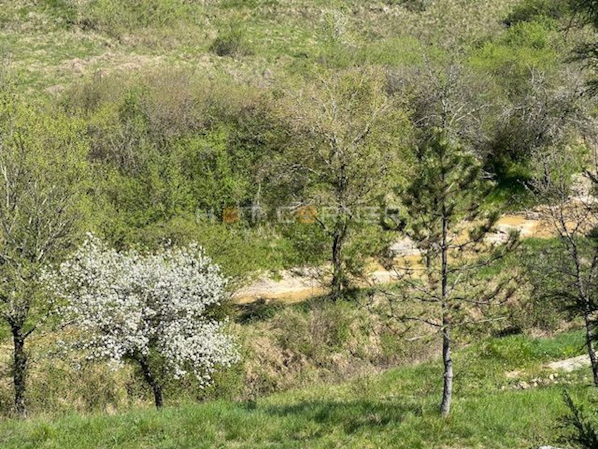 Land For sale - ISTARSKA MOTOVUN