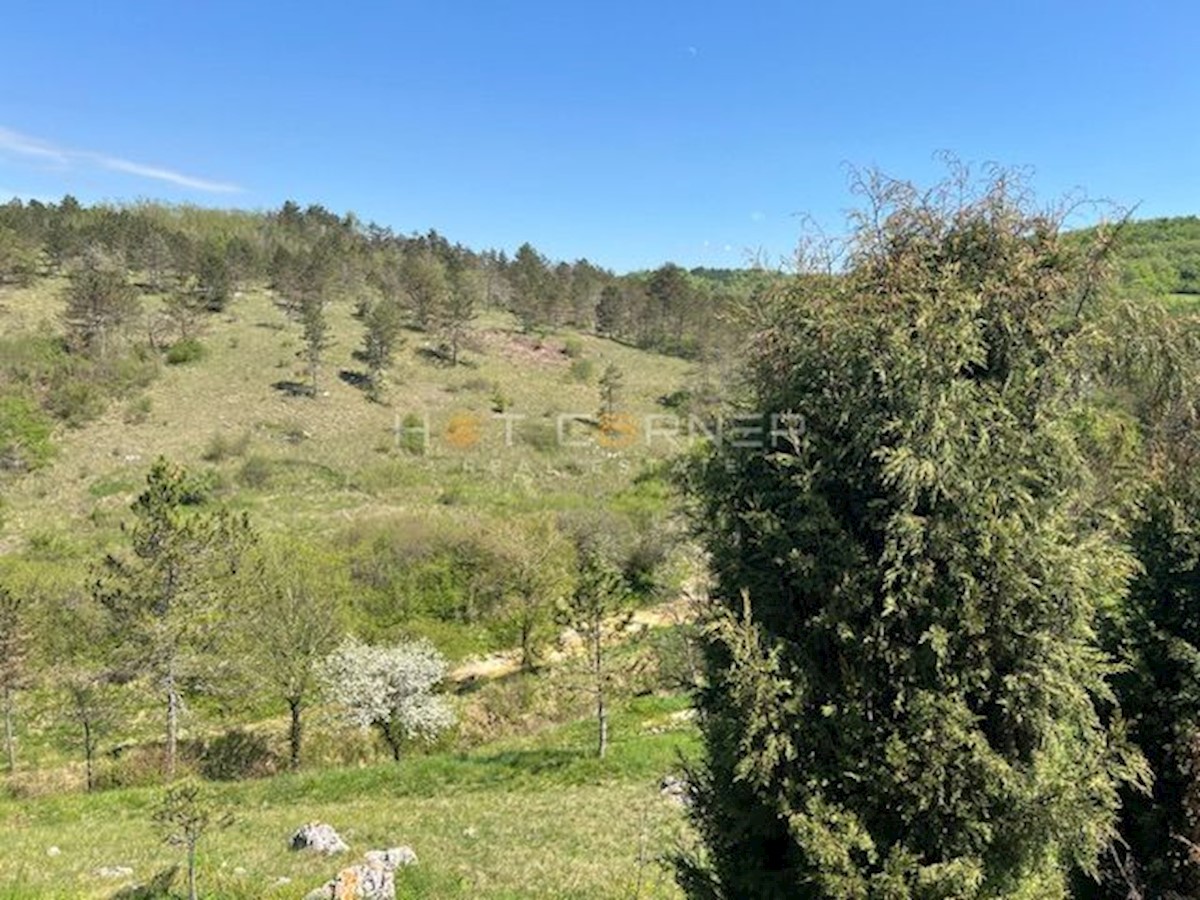 Land For sale - ISTARSKA MOTOVUN