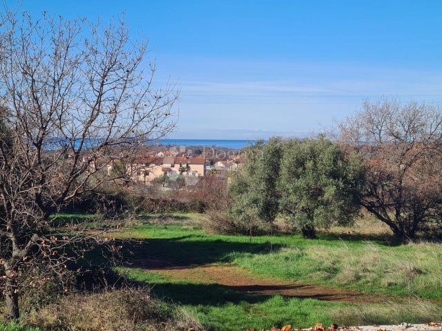 Terrain à vendre 17760 m² – Sveti Lovreč Pazenatički